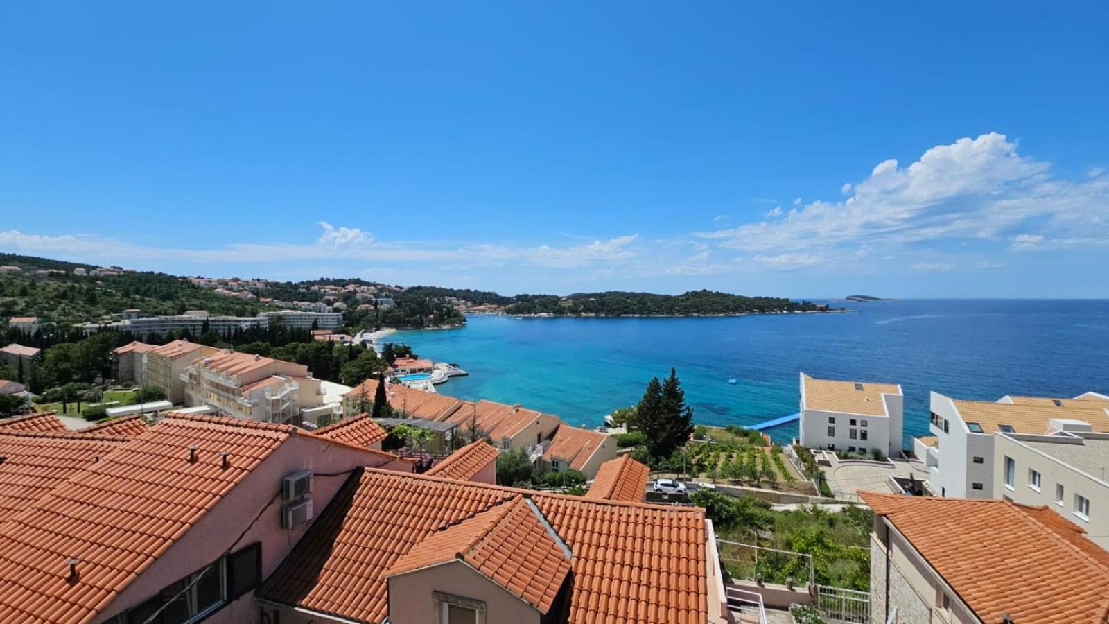 Alpha * Cavtat